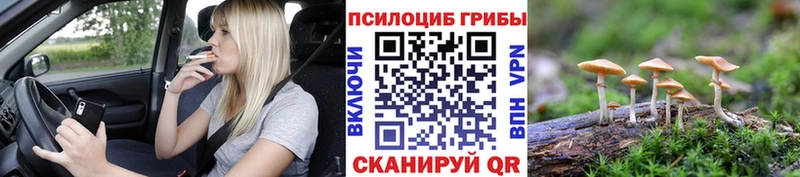 Галлюциногенные грибы Psilocybe  наркошоп  Тольятти 